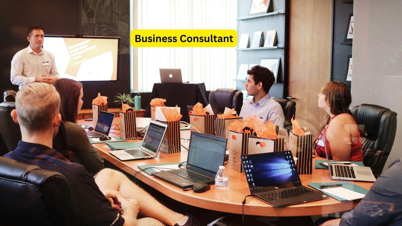 Business Consultant